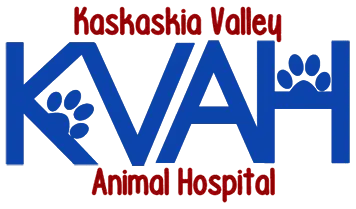 Kaskaskia Valley Animal Hospital Sullivan Illinois